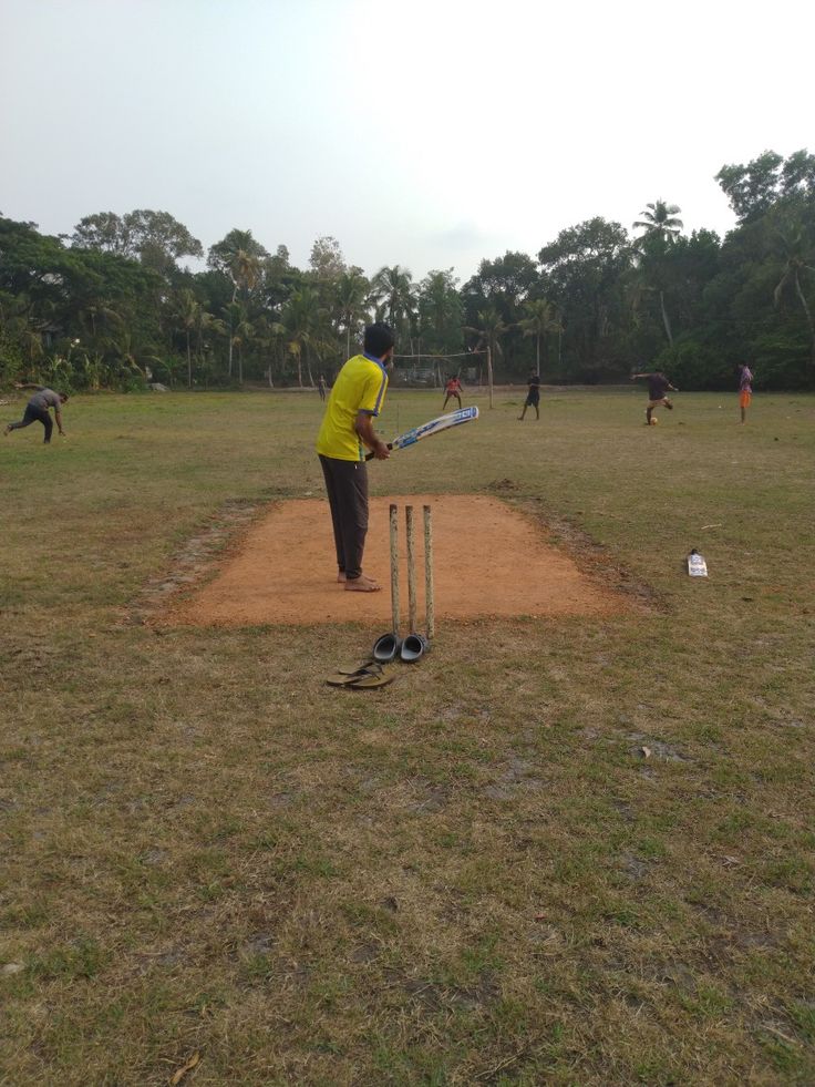 Cricket